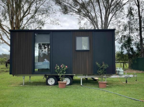 Petama by Tiny Away, Grandchester